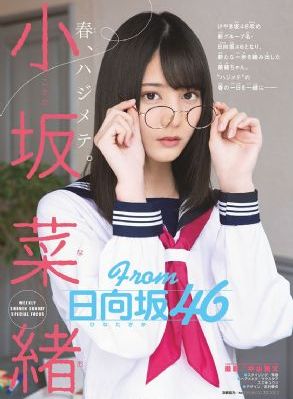 千纸鹤开发日记